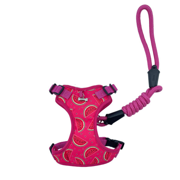 Arnes Canastilla Fucsia Con Sandia
