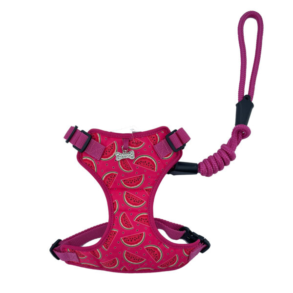 Arnes Canastilla Fucsia Con Sandia - Imagen 3
