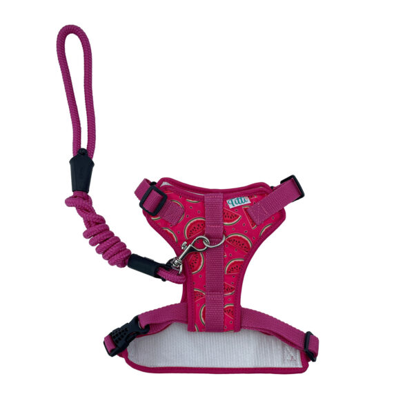 Arnes Canastilla Fucsia Con Sandia - Imagen 4