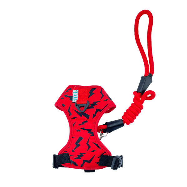 Arnes Canastilla Rojo Con Negro