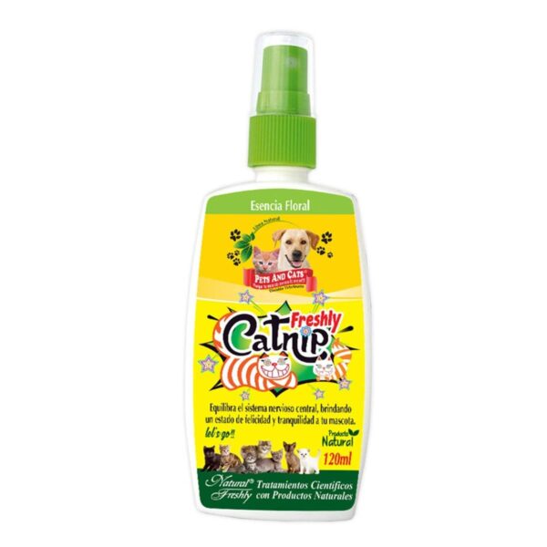 Natural Freshly Catnip