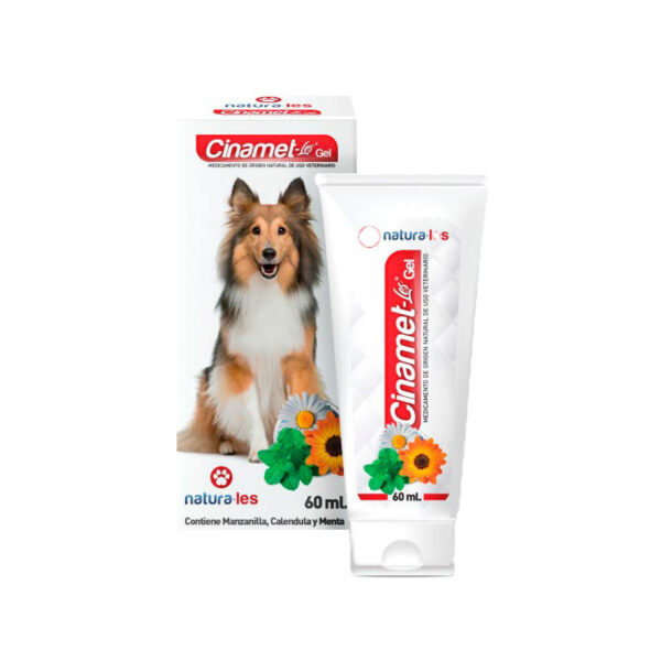 Cinamet-Les Gel Dental Cicatrizante