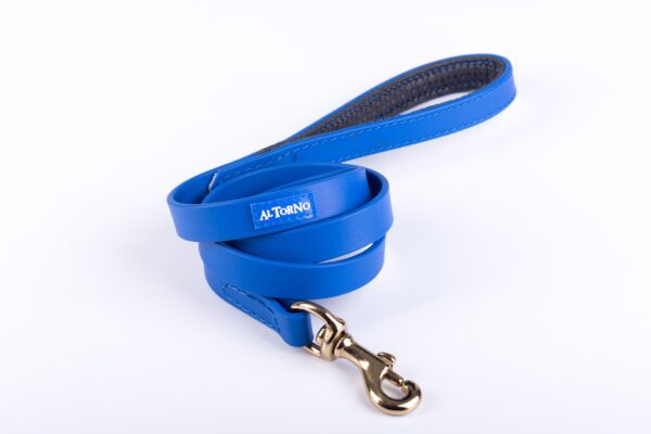 Collar Y Correa Sintético Neopreno Azul - Imagen 3