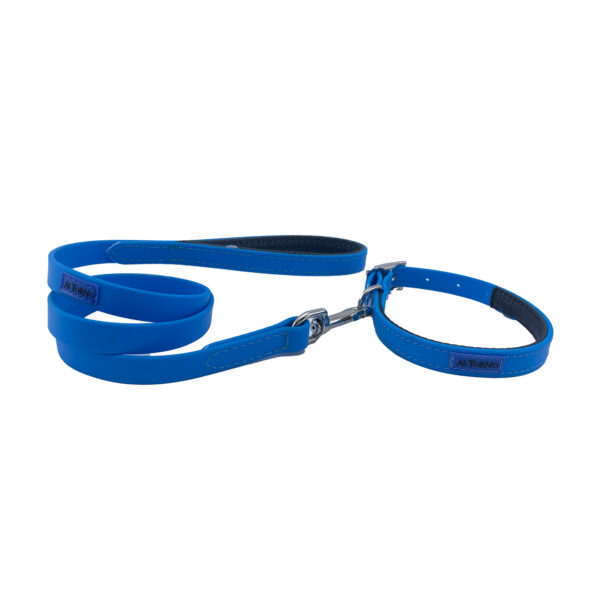 Collar Y Correa Sintético Neopreno Azul