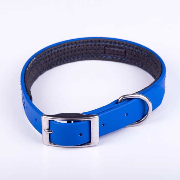 Collar Y Correa Sintético Neopreno Azul - Imagen 2