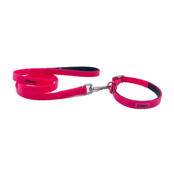 Collar Y Correa Sintético Neopreno Fucsia
