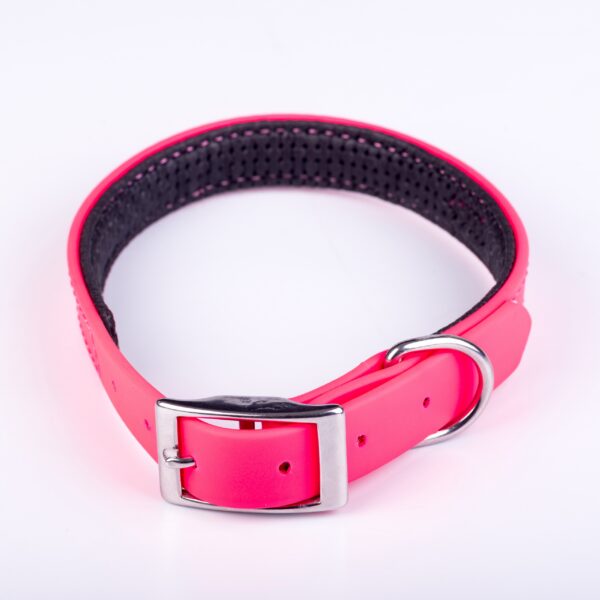 Collar Y Correa Sintético Neopreno Fucsia - Imagen 2