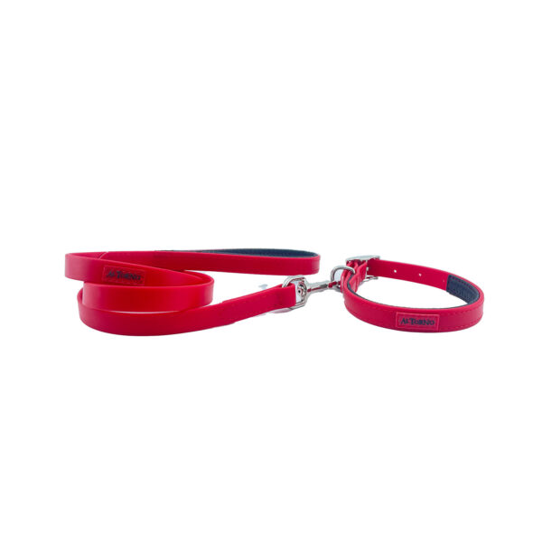 Collar Y Correa Sintético Neopreno Rojo