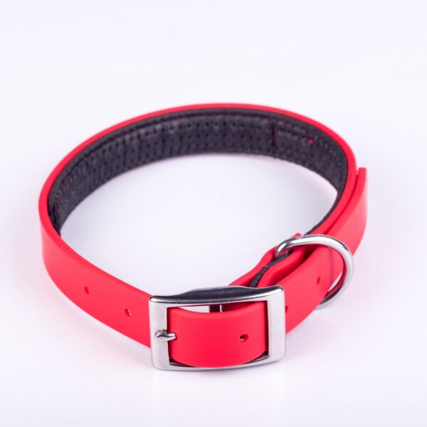 Collar Y Correa Sintético Neopreno Rojo - Imagen 2