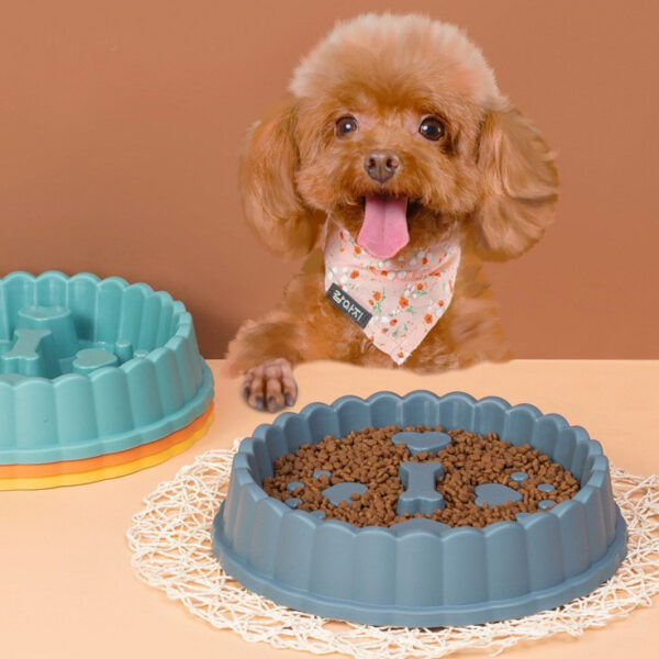 Comedero Antireflujo Pets