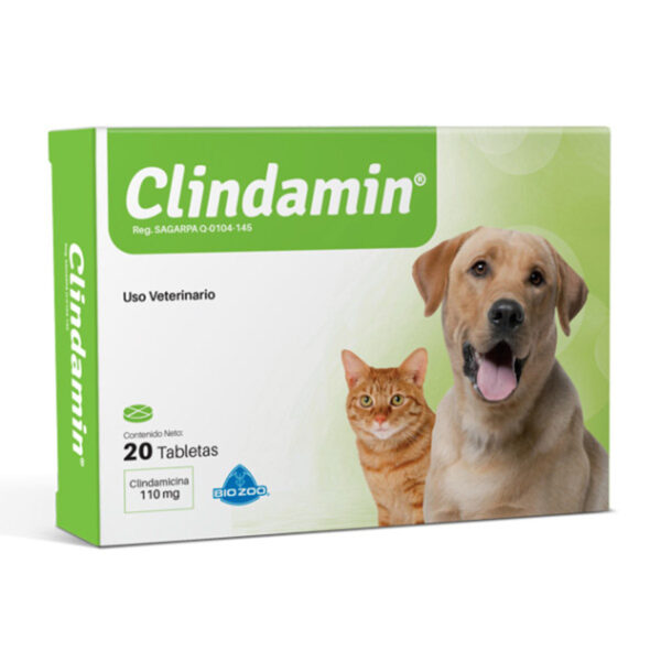 Clindamin Blister 10 Tabletas