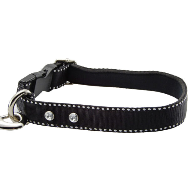 Collar y Trailla Acolchado Reata