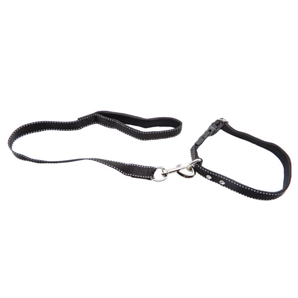 Collar y Trailla Acolchado Reata - Imagen 2