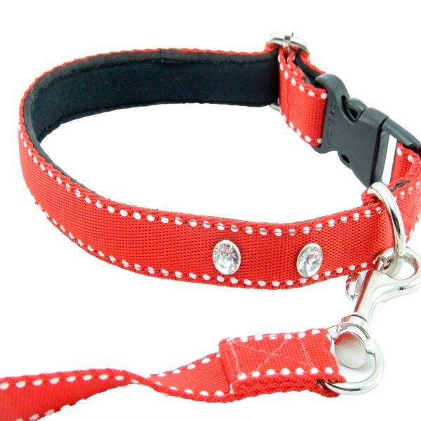 Collar y Trailla Acolchado Reata - Imagen 10