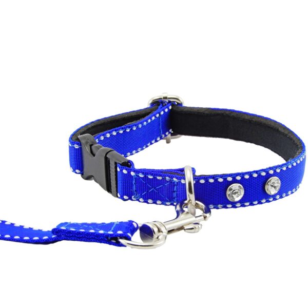 Collar y Trailla Acolchado Reata - Imagen 11