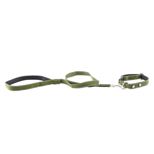 Collar y Trailla Acolchado Reata - Imagen 12