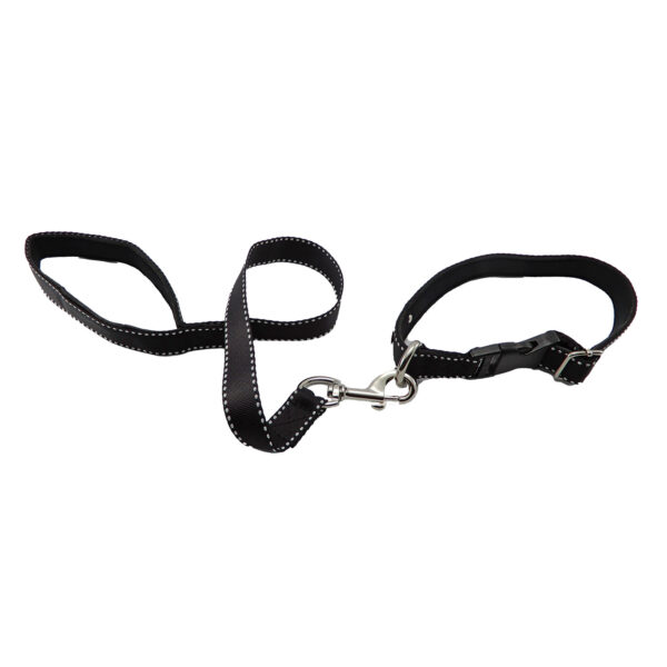Collar y Trailla Acolchado Reata - Imagen 4