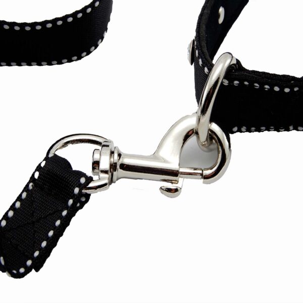 Collar y Trailla Acolchado Reata - Imagen 5