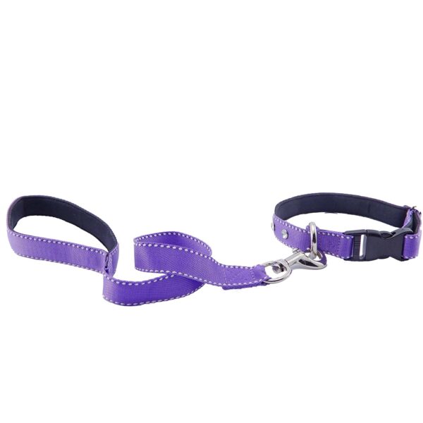 Collar y Trailla Acolchado Reata - Imagen 6