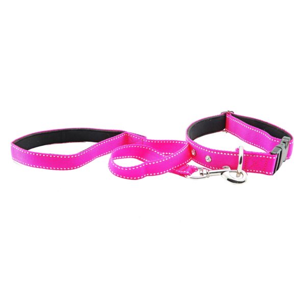 Collar y Trailla Acolchado Reata - Imagen 7