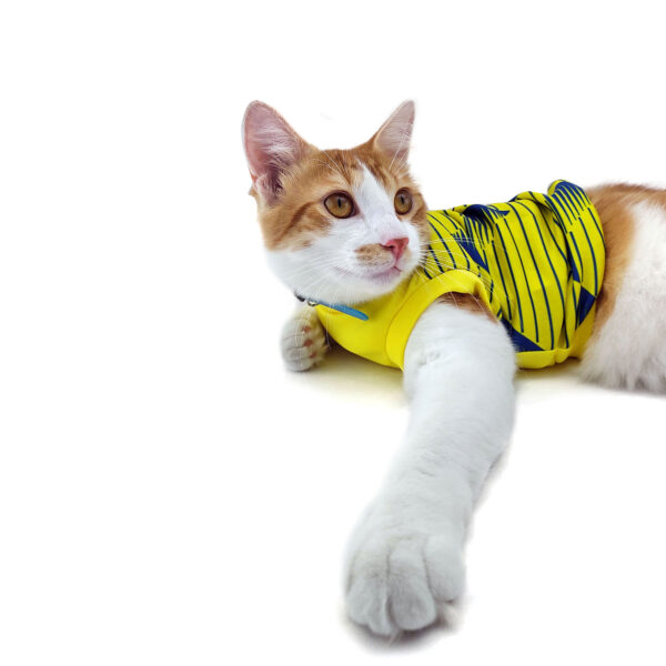 Camiseta Deportiva Colombia Connie Channel - Imagen 5