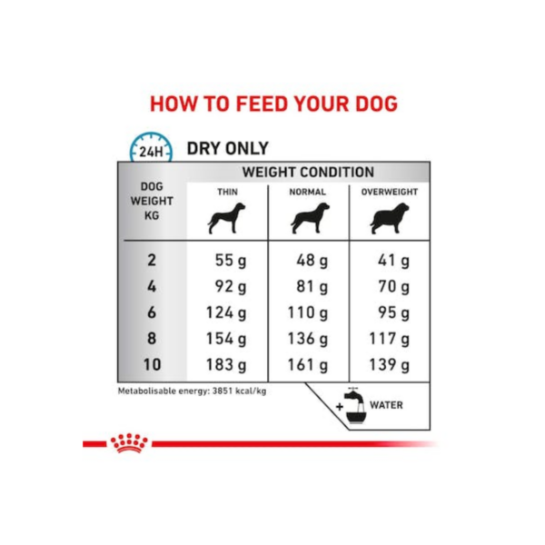 Royal Canin Anallergenic Small Dog 1.5kg - Imagen 2