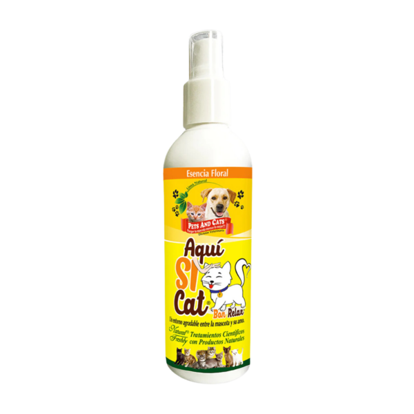 Natural Freshly Aquí Si Cat x 240ml