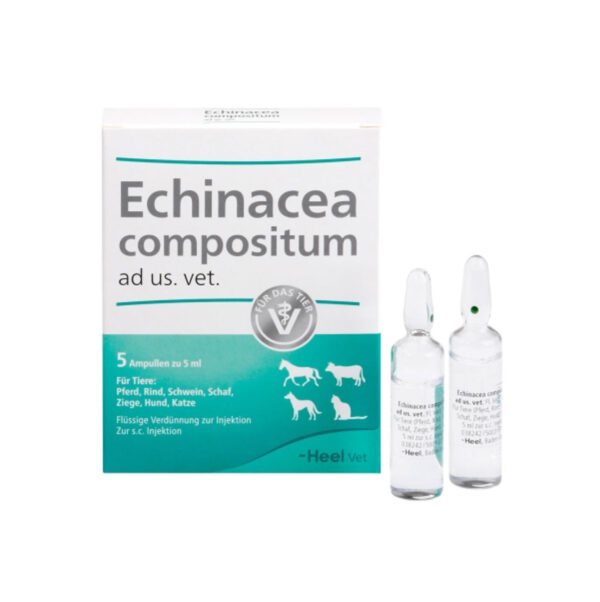 Echinacea Ampolla Por Unidad