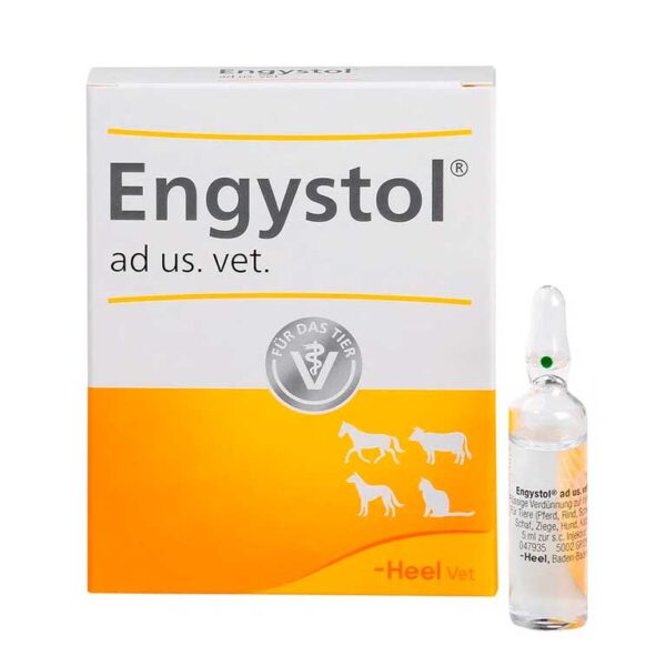 Engystol Ampolla 5ml (Unidad)