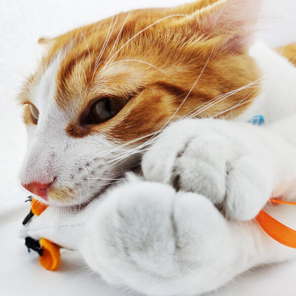 Juguete Gato Raton Catnip - Imagen 3
