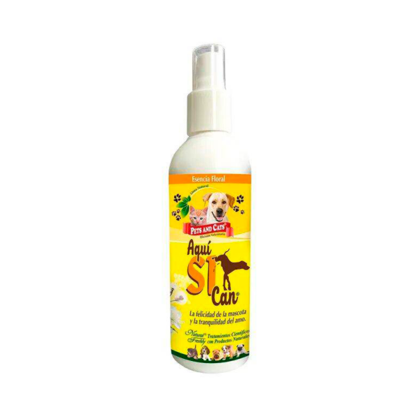 Natural Freshly Aqui Si Can X 240Ml
