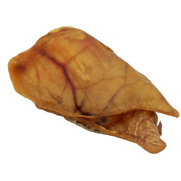 Oreja De Cerdo X1 - Imagen 2