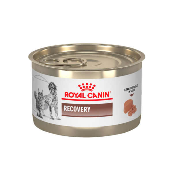 Royal Canin Gatos/Perros Lata Recovery (A/D) 145 gr