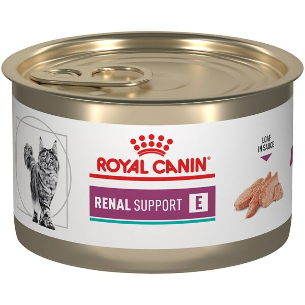 Royal Canin Gatos Lata Renal Support Adulto145 gr