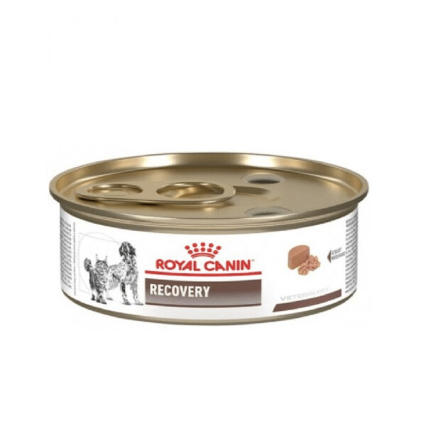Royal Canin Perros/Gatos Lata Recovery 165 gr
