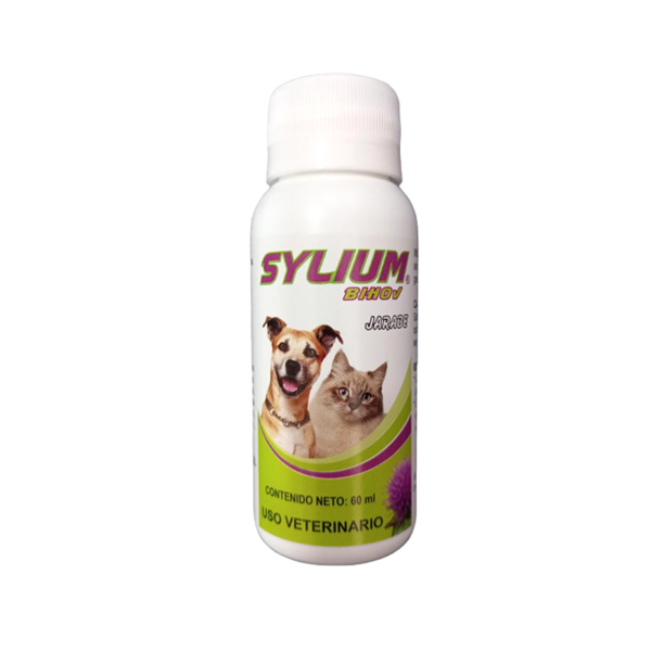 Sylium Jarabe 60 ml
