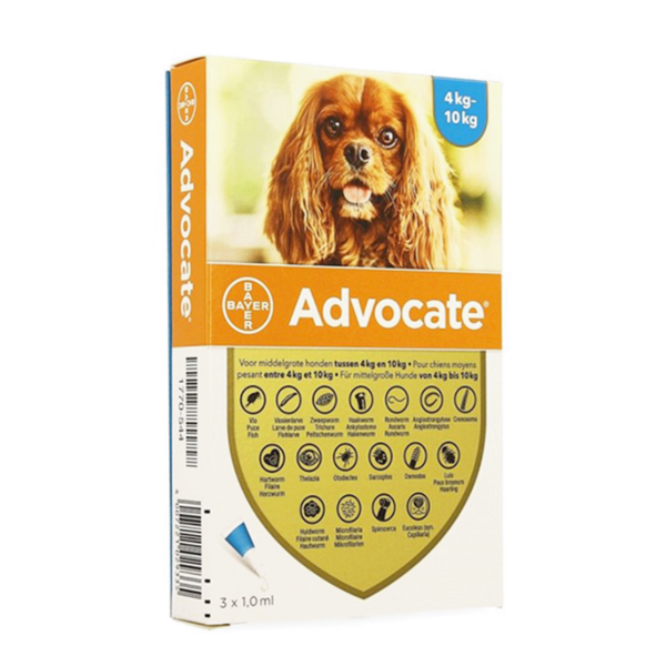 Advocate Perro De 4 A 10K