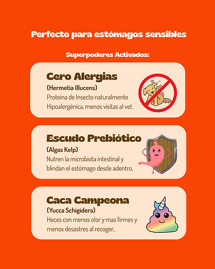 Snack Armadura Digestiva 100g - Imagen 2