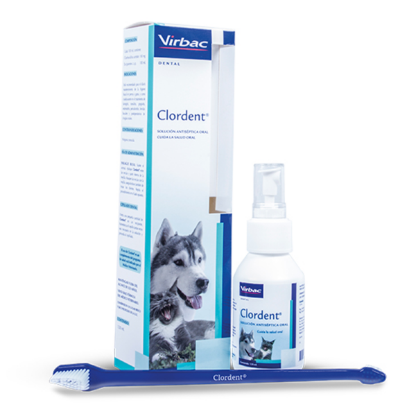 Clordent Antiseptico 120 ml Higiene Bucal