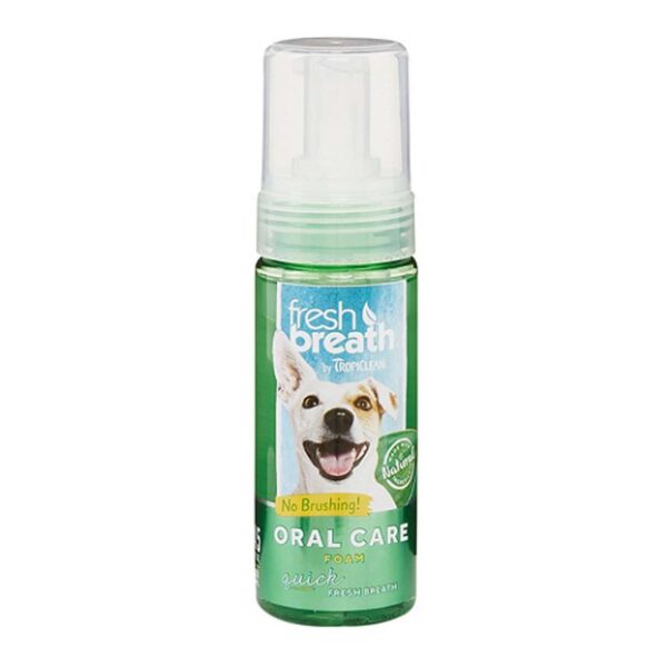 Fresh Breath Espuma 133 Ml