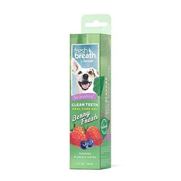 Fresh Breath Gel Dental Clean Teeth Fresa 59Ml